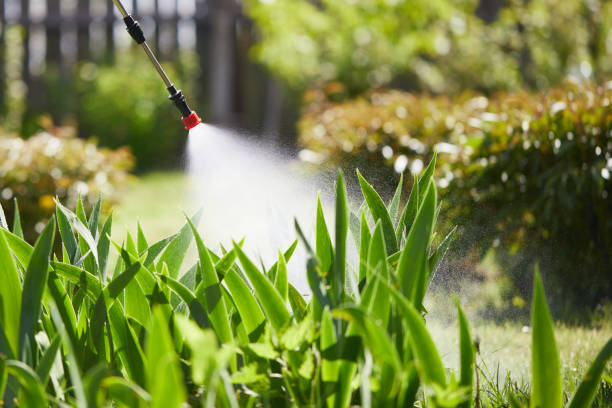 Tamper-Resistant Bait Stations for Rodents in West Haven-Sylvan