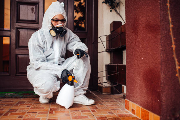 Attic and Crawl Space Rodent Treatment in West Haven-Sylvan