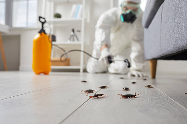 Commercial Rodent Management in West Haven-Sylvan
